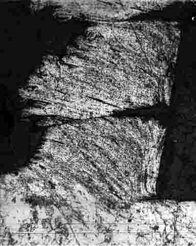 Рис. 1. Микрофотография корня стружки скалывания, полученного при точении стали 12Х18Н10Т